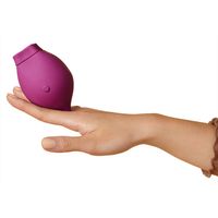 Smile Makers The Poet